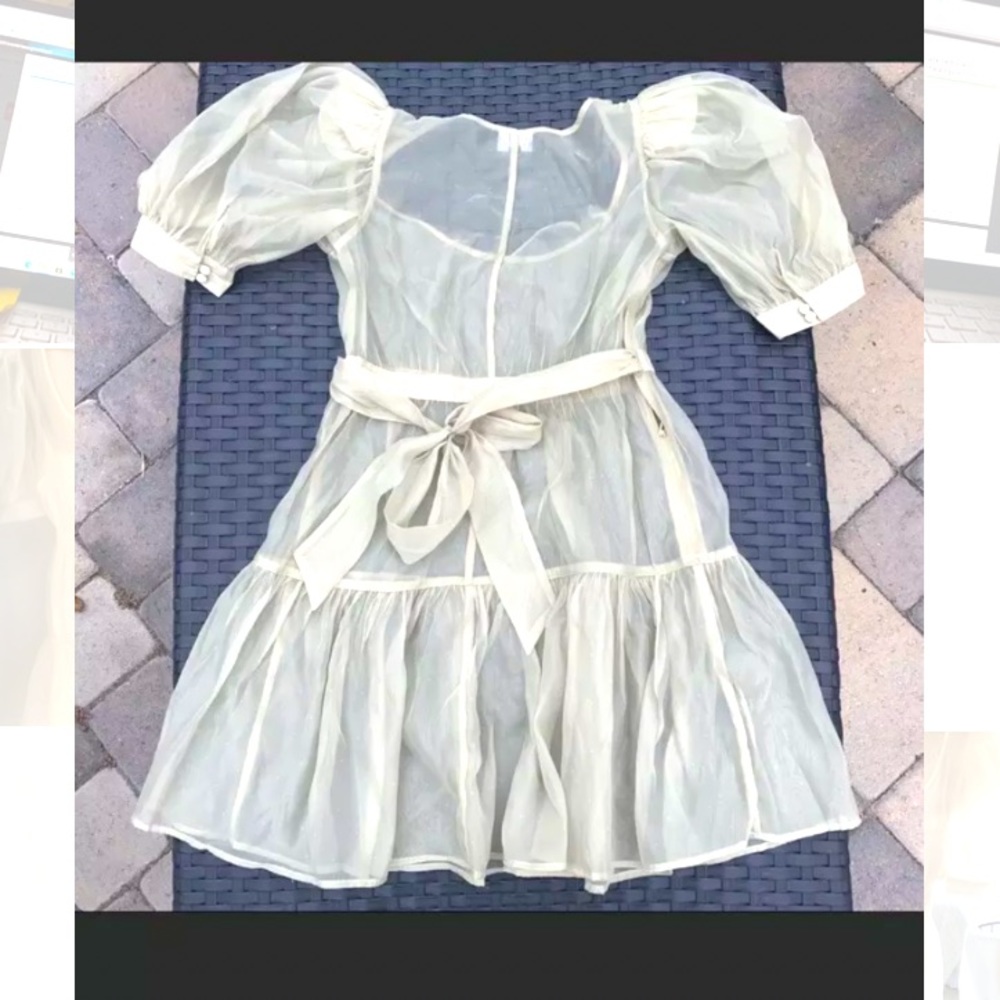 Danielle Bernstein Organza Puff Sleeve Mini Dress